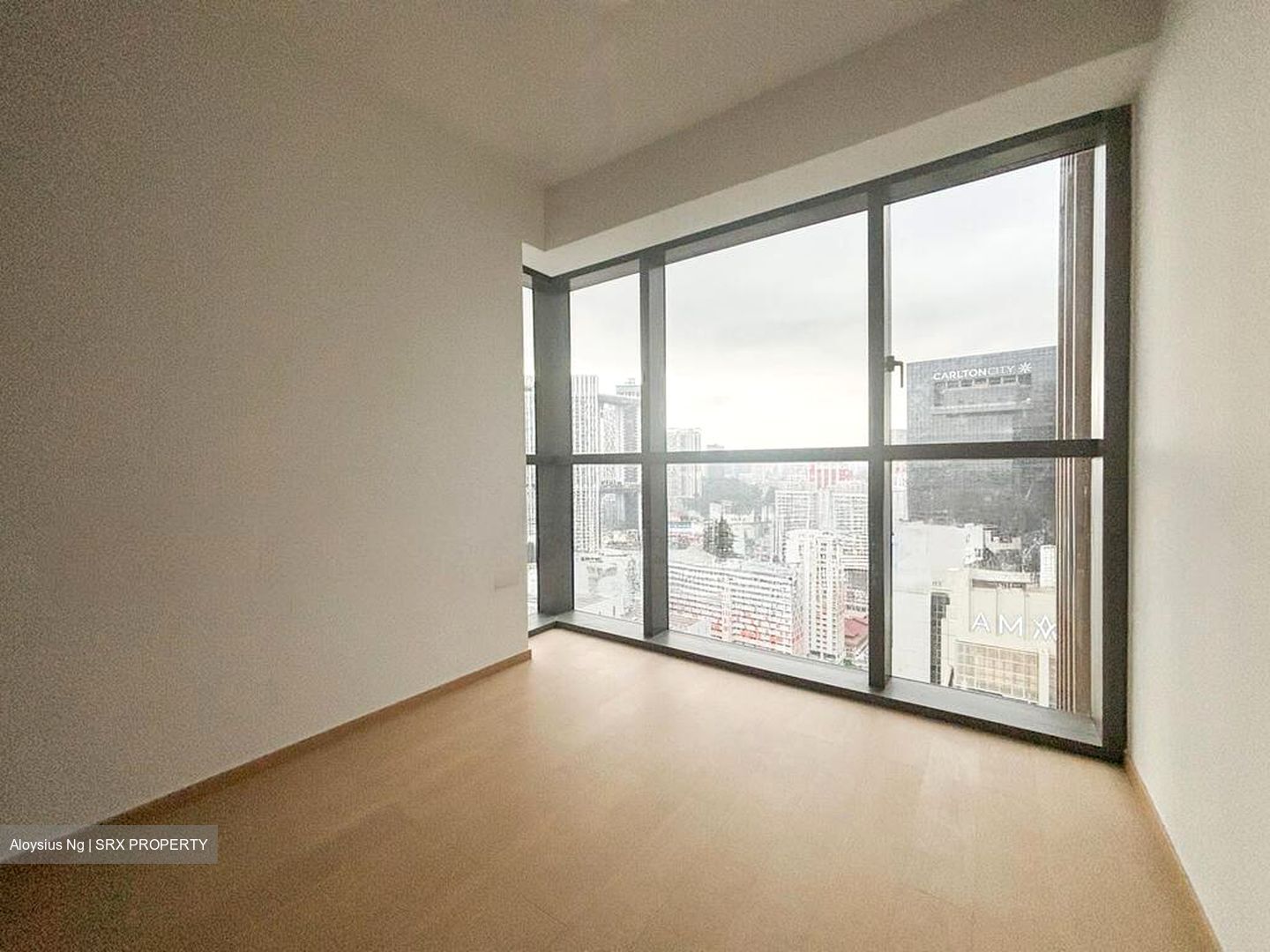 Newport Residences (D2), Apartment #497858281
